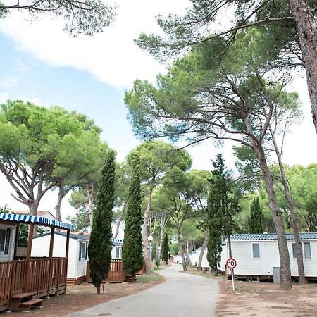 Albatross Mobile Homes On Camping Lacus L' Escala Eksteriør billede